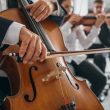 Professional cello player's hands close up, he is performing with string section of the symphony orchestra