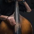 cropped shot of man playing contrabass on black